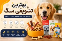 خرید بهترین تشویقی سگ
