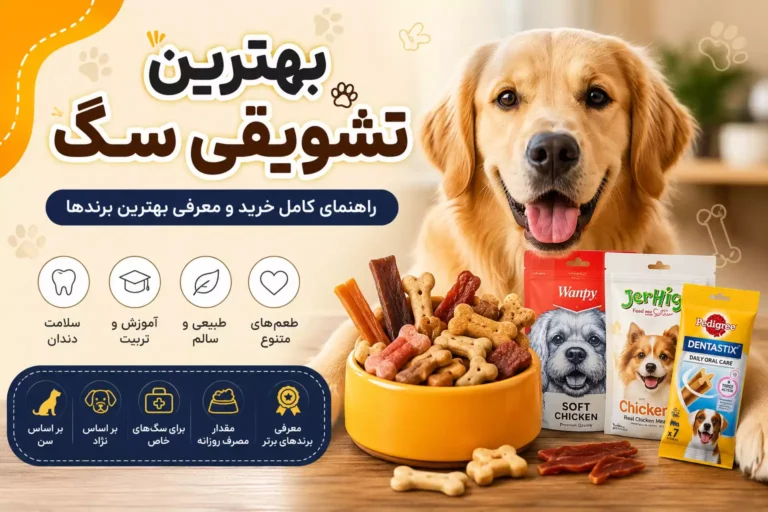 خرید بهترین تشویقی سگ