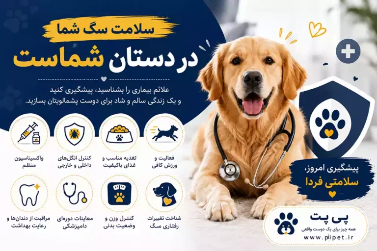 علائم بیماری سگ چیست؟ بررسی نشانه‌های بیماری و زمان مراجعه به دامپزشک