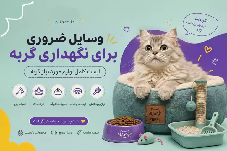 وسایل ضروری برای نگهداری گربه؛ لیست کامل لوازم مورد نیاز گربه