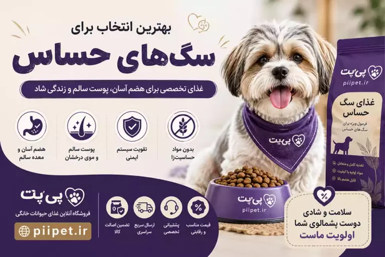 غذای سگ حساس چیست؟ معرفی بهترین غذا برای سگ‌های حساس و آلرژیک